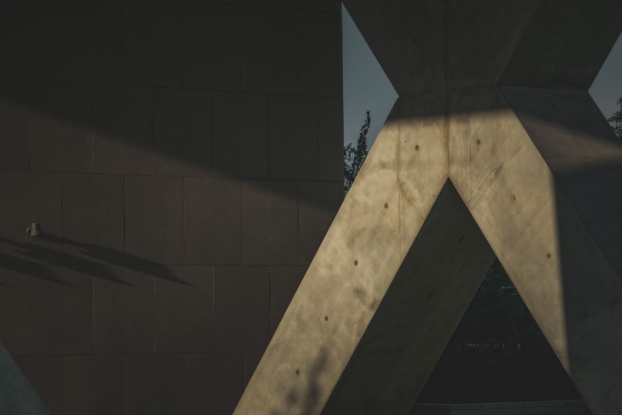 Pexels Photo 12180202